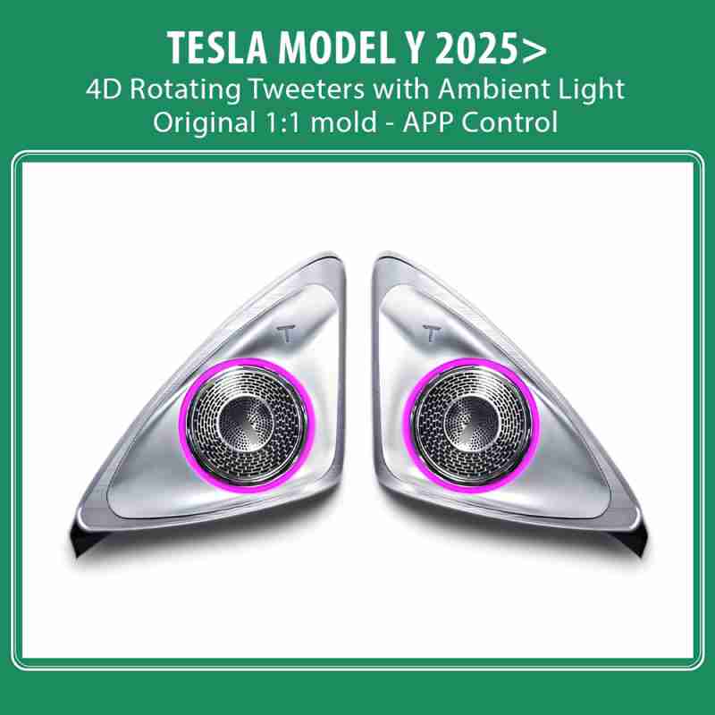 MODEL Y mod. 2025