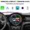 DIGITAL IQ BM 222 CPAA (CARPLAY / ANDROID AUTO BOX for MINI with BLS)